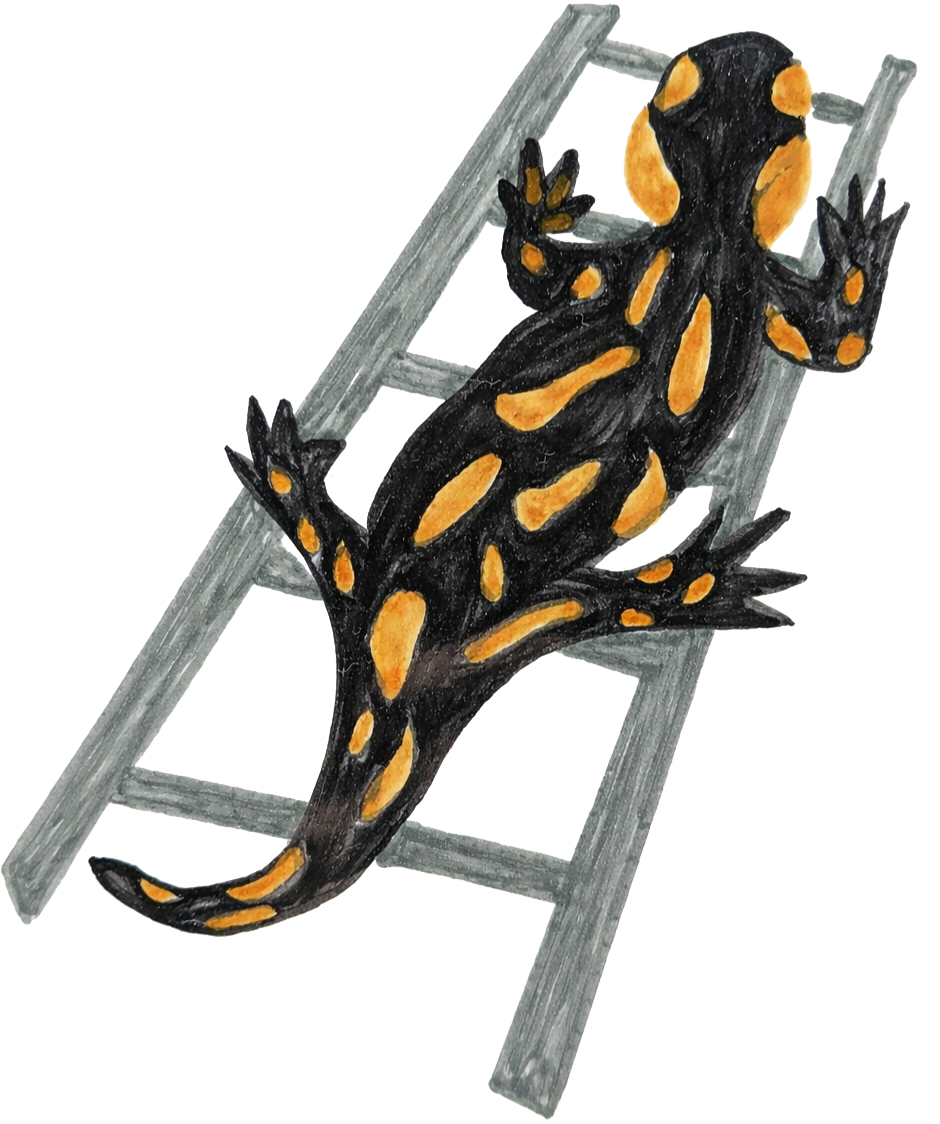 Logotipo de Ciencia ciudadana frente al cambio climático para conservar la Salamandra Penibética.